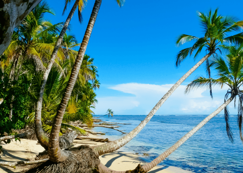 beaches within Cahuita National Park are safe and beautiful - Cahuita and Punta Uva Itinerary
