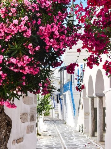 5 Amazing Greek Islands to Visit That Aren't Santorini or Mykonos, 12 Favorite Vacation Picks for Americans in 2025, Forget About Santorini and Mykonos in Greece and Visit These 13 Places Instead, How To Spend 3 Days in the Greek Islands Without Breaking the Bank, 5 Amazing Greek Islands to Visit That Aren't Santorini or Mykonos, 8 Reasons Why Not to Visit Greece And 7 Reasons To Visit, 20 Common Mistakes To Avoid In Greek Islands
