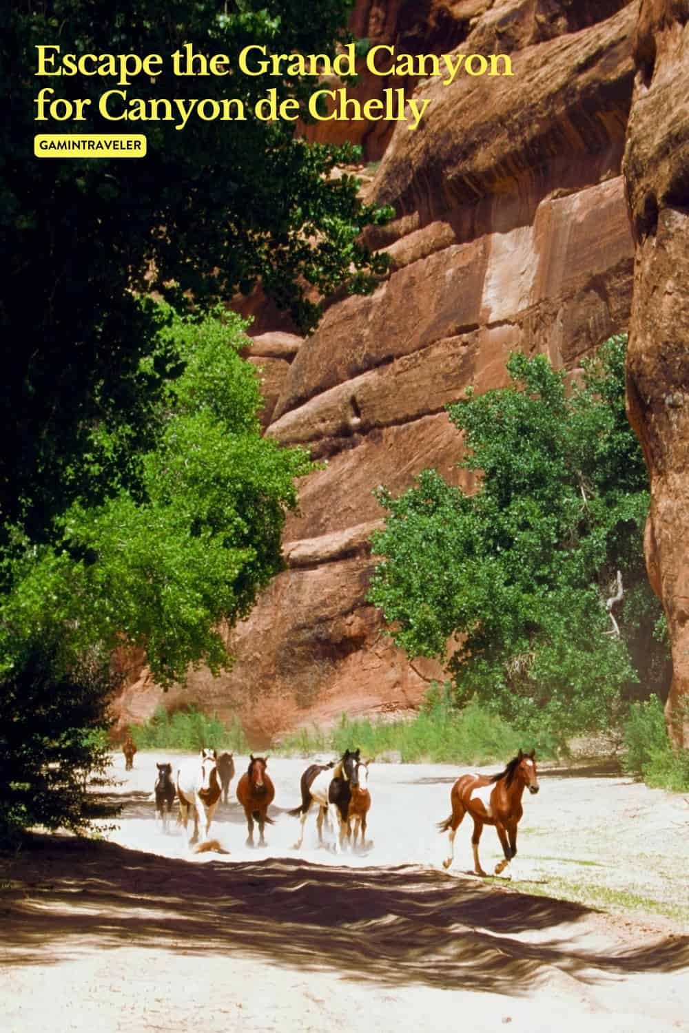 Escape Grand Canyon Crowds for The Canyon de Chelly