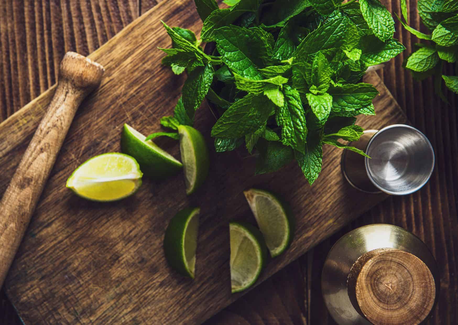How To Make Mojito (Recipe Guide) Tips And Calories