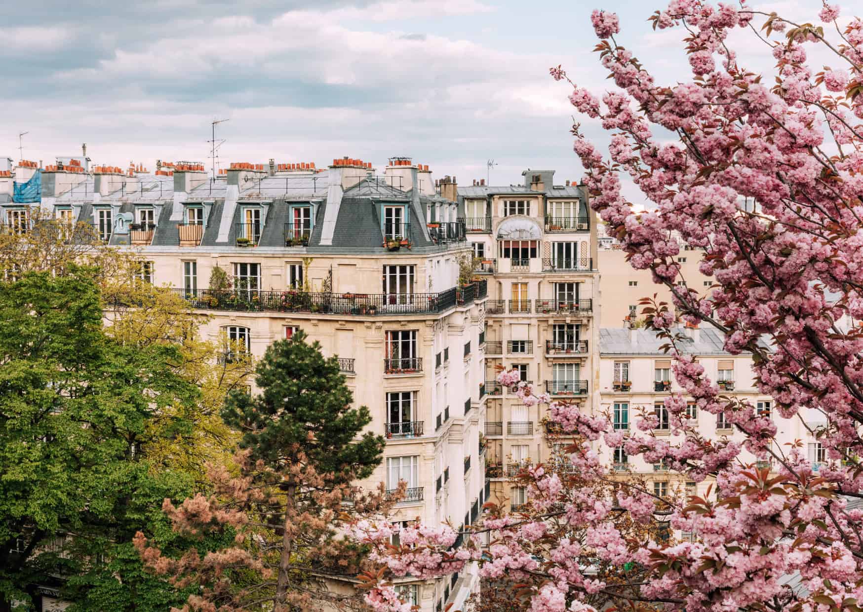 Why Speaking English in These 5 Restaurant Districts Doubles Your Bill 2 Is Paris Expensive Cost Breakdown of Living and Travel in Paris for 2024 3