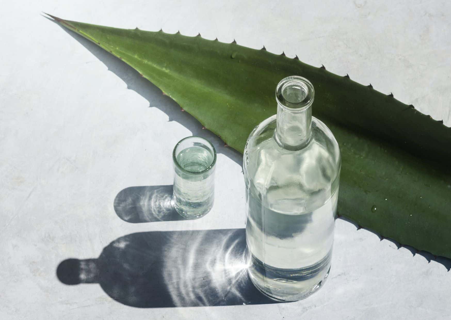 Regular Margaritas Are Overrated: Try Mezcal Instead 2 How to Make a Mezcal Margarita (Recipe Guide) Tips And Calories