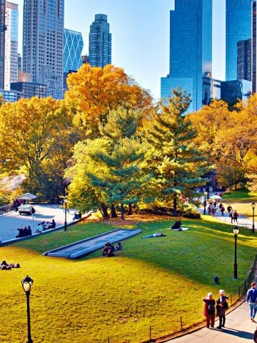 Most Popular Tourist Traps in New York (Travel Guide)