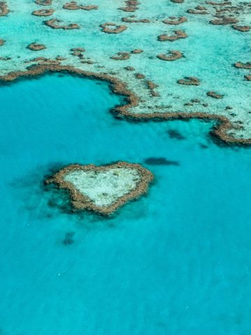 15 Paradise Diving Destinations Around the World, 15 Most Popular Nature Destinations: A Nature Lover&rsquo;s Paradise Around the World, Great Barrier Reef, Australia, 20 Top Bucket List Experiences For Your Next Year