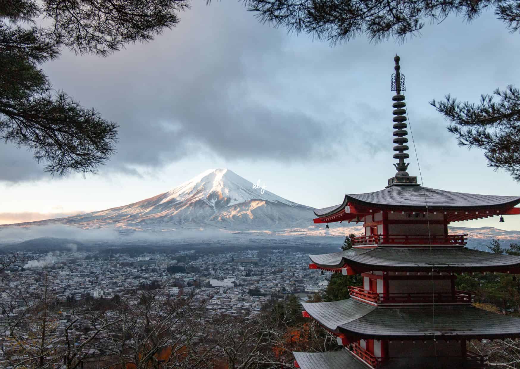 Traveling To Japan? Check Out Rules About Tipping in Japan: Travel Guide