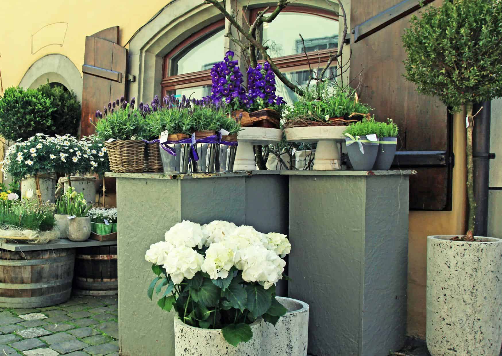 Don&rsquo;t Do This in Switzerland: 20 Things Not to Do in Switzerland