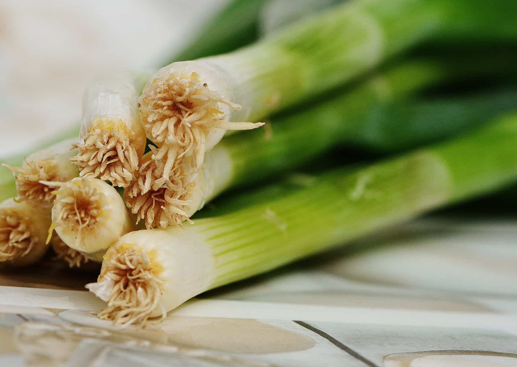 The Belgian Classic You’ve Never Tried — How to Make Traditional Leek Tart (Flamiche aux Poireaux) 2 How to Make Belgian Leek Tart (Flamiche aux Poireaux) – Recipe Guide