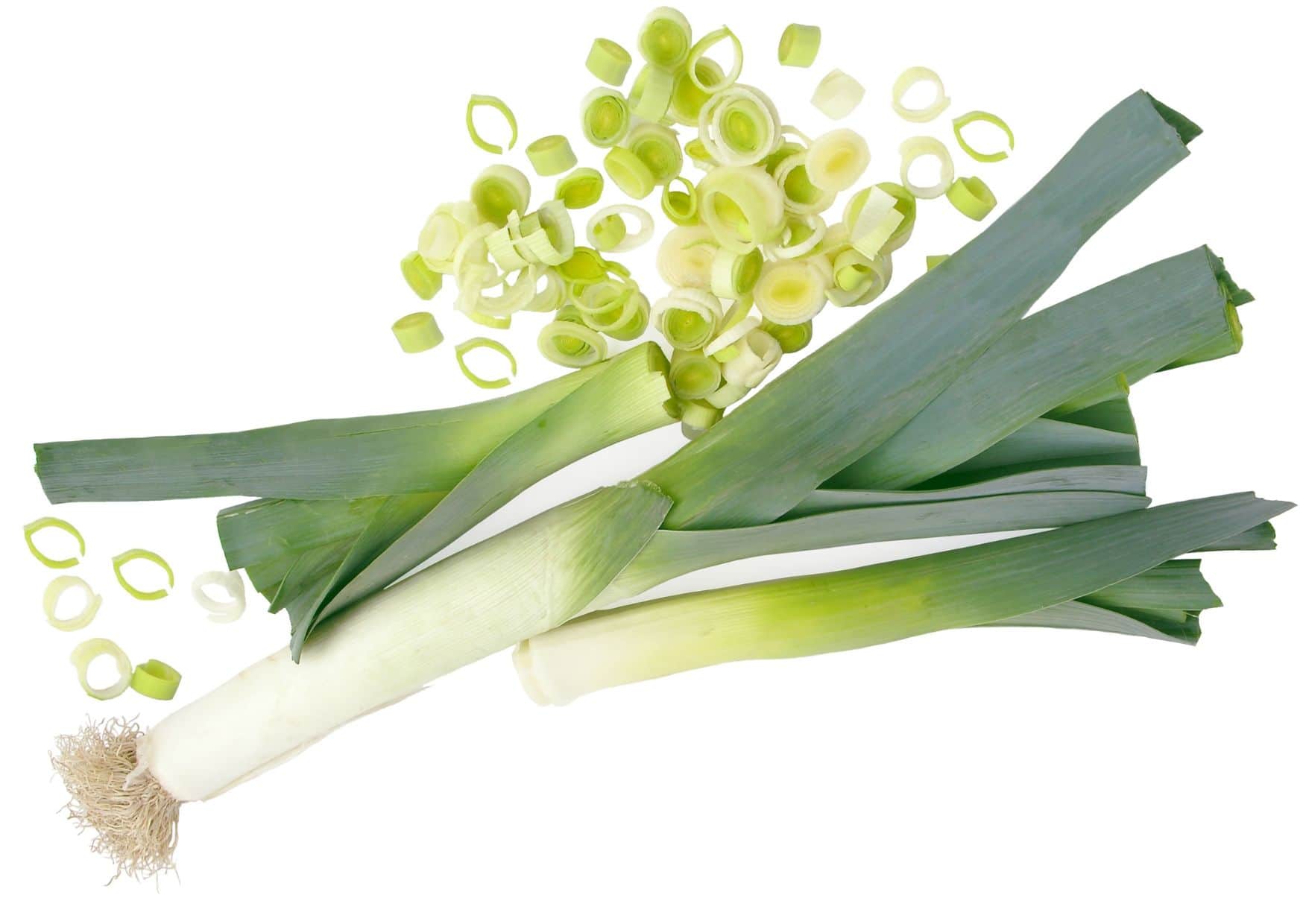 The Belgian Classic You’ve Never Tried — How to Make Traditional Leek Tart (Flamiche aux Poireaux) 3 How to Make Belgian Leek Tart (Flamiche aux Poireaux) – Recipe Guide