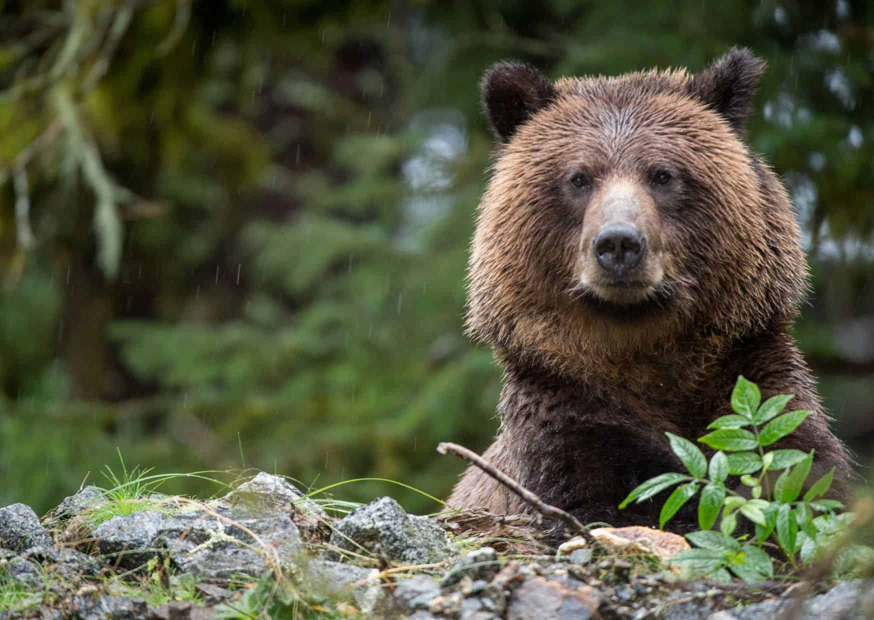 Don’t Do This in Canada: 20 Things Not to Do in Canada 3 Don’t Do This in Canada: 20 Things Not to Do in Canada