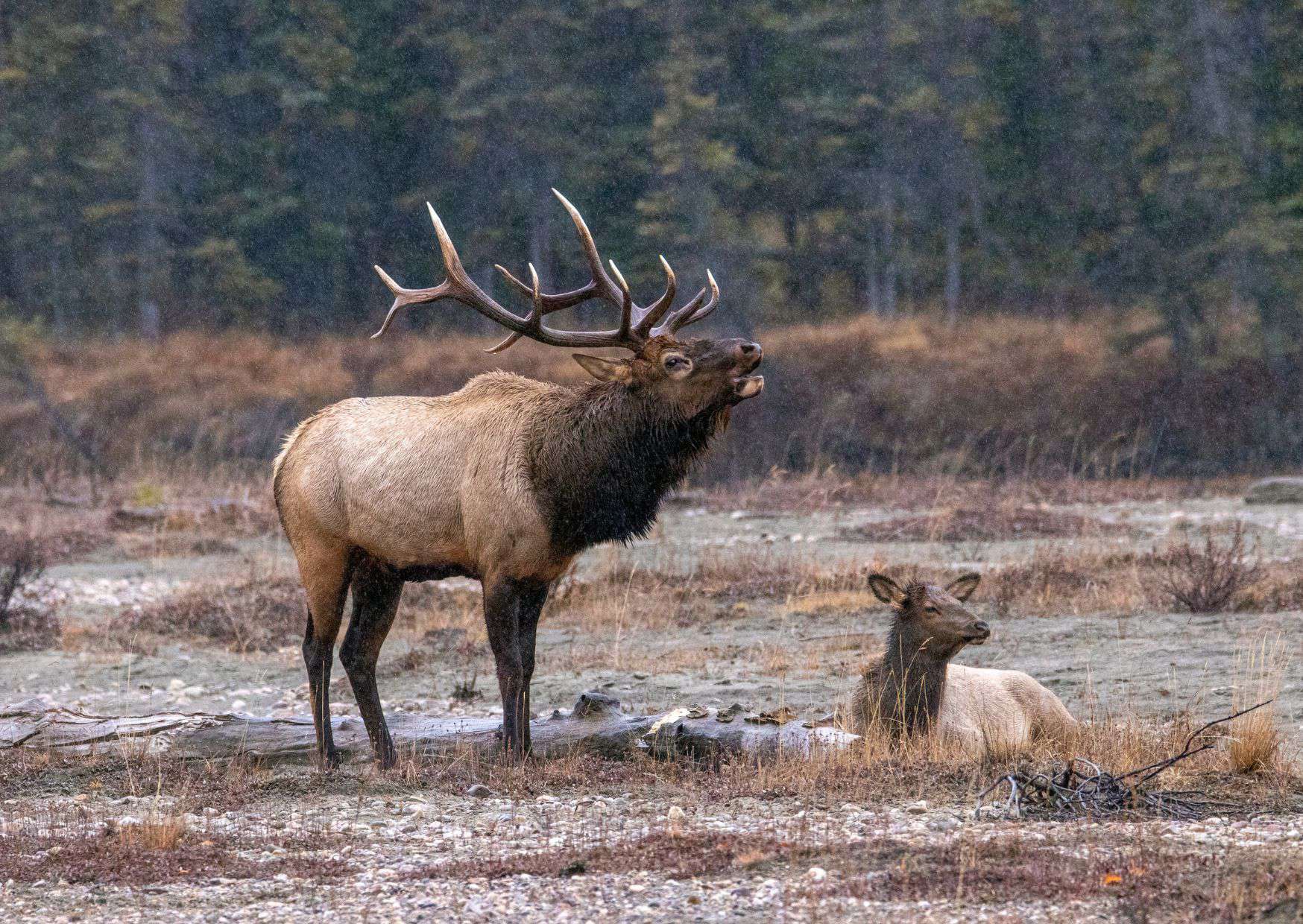 12 Countries That Will Pay You to Move There in 2026 (Yes, Really!) 9 20 Unspoken Rules of Canadian Life That Tourists Often Don’t Understand