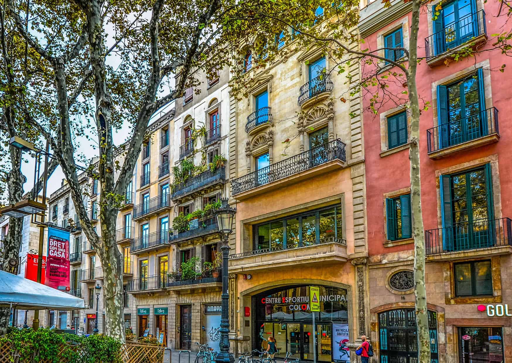 Reason Europeans Are Thinner Than Americans 8