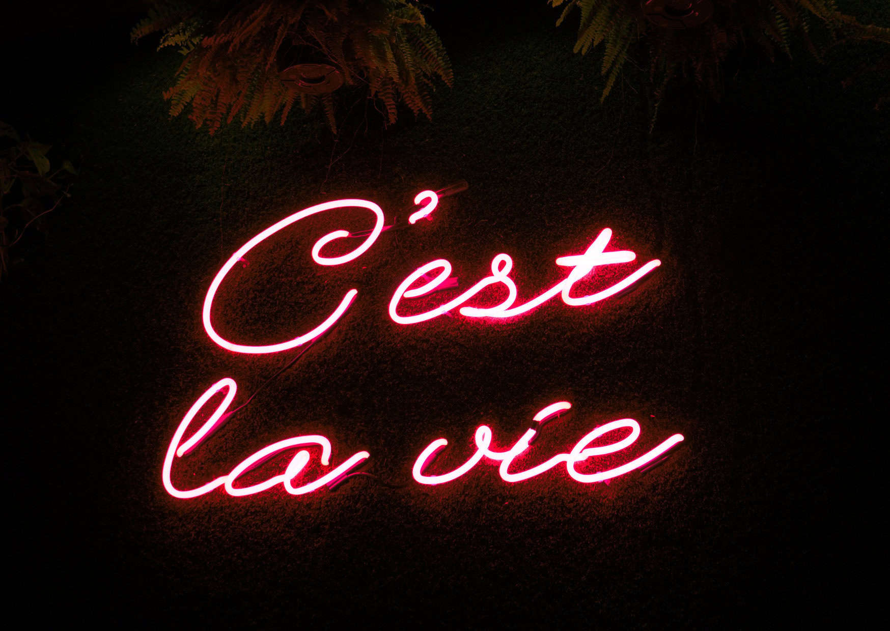 Why French People Never Actually Say These ‘French Phrases Tourists Love 8