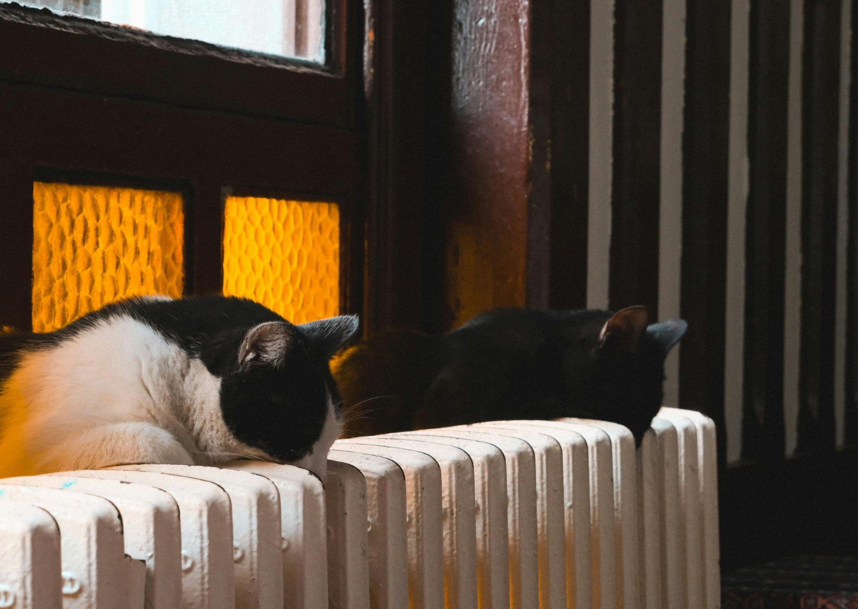 Why Europeans Keep Their Homes Colder Than Most Americans Could Handle: Chilly or Cheap? 5 Why Europeans Keep Their Homes at This Temperature Americans Would Find Unbearable 3