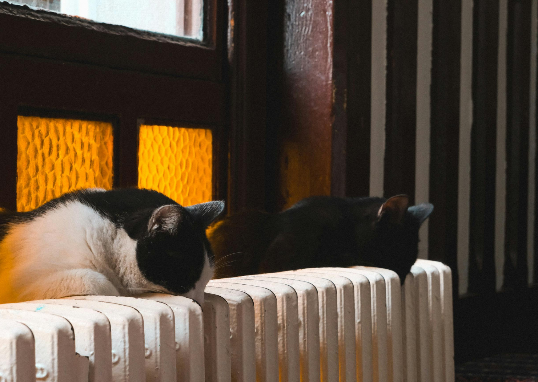 House Temperature Italians Keep 4