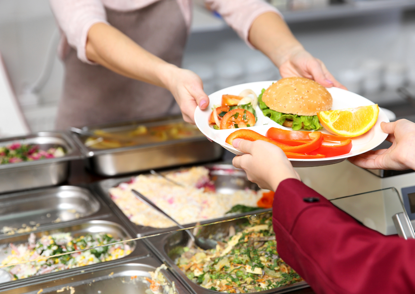 School Lunch Program in France 5
