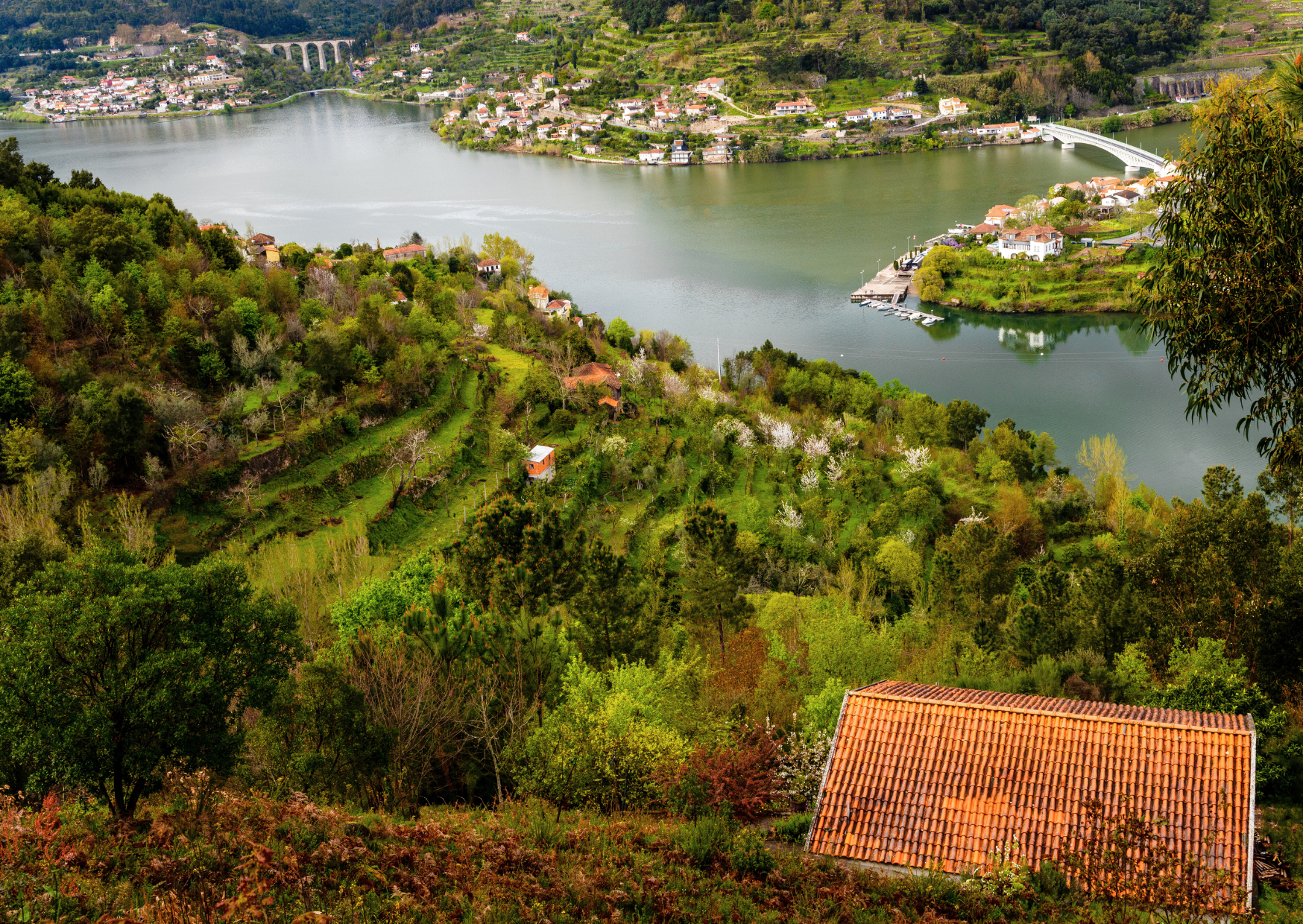 6 Portuguese Towns More Beautiful Than Lisbon at Half the Cost 3 Portugal Viseu