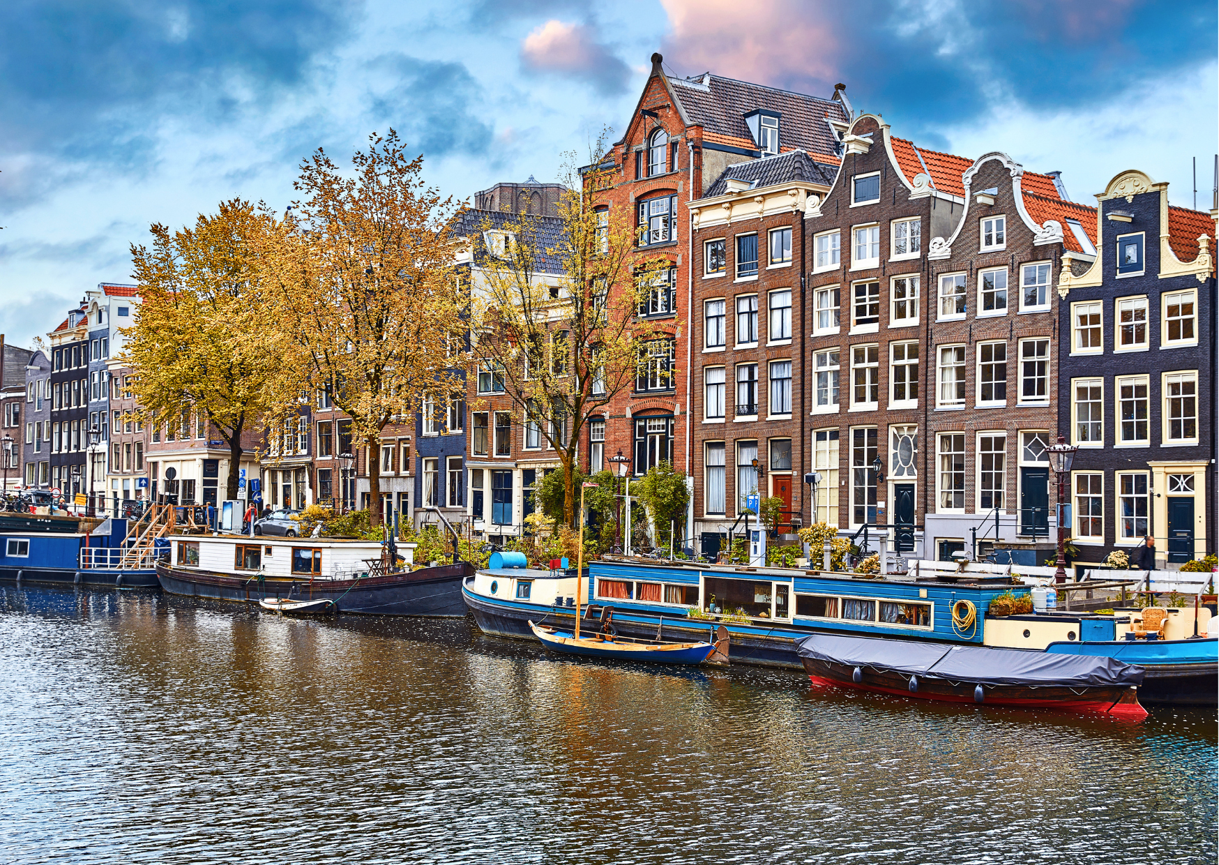 dutch money 6