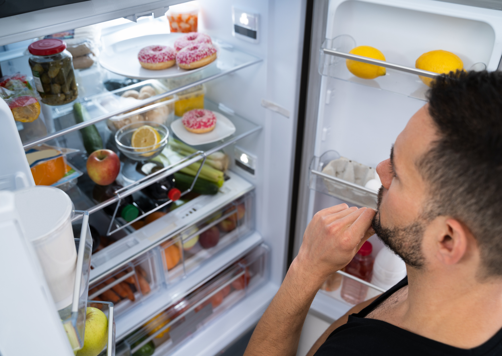 American fridge 5