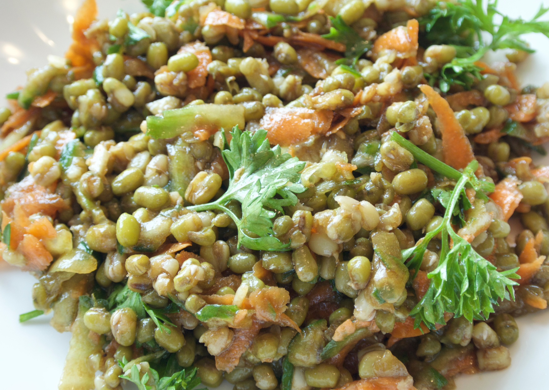 French Lunches 3