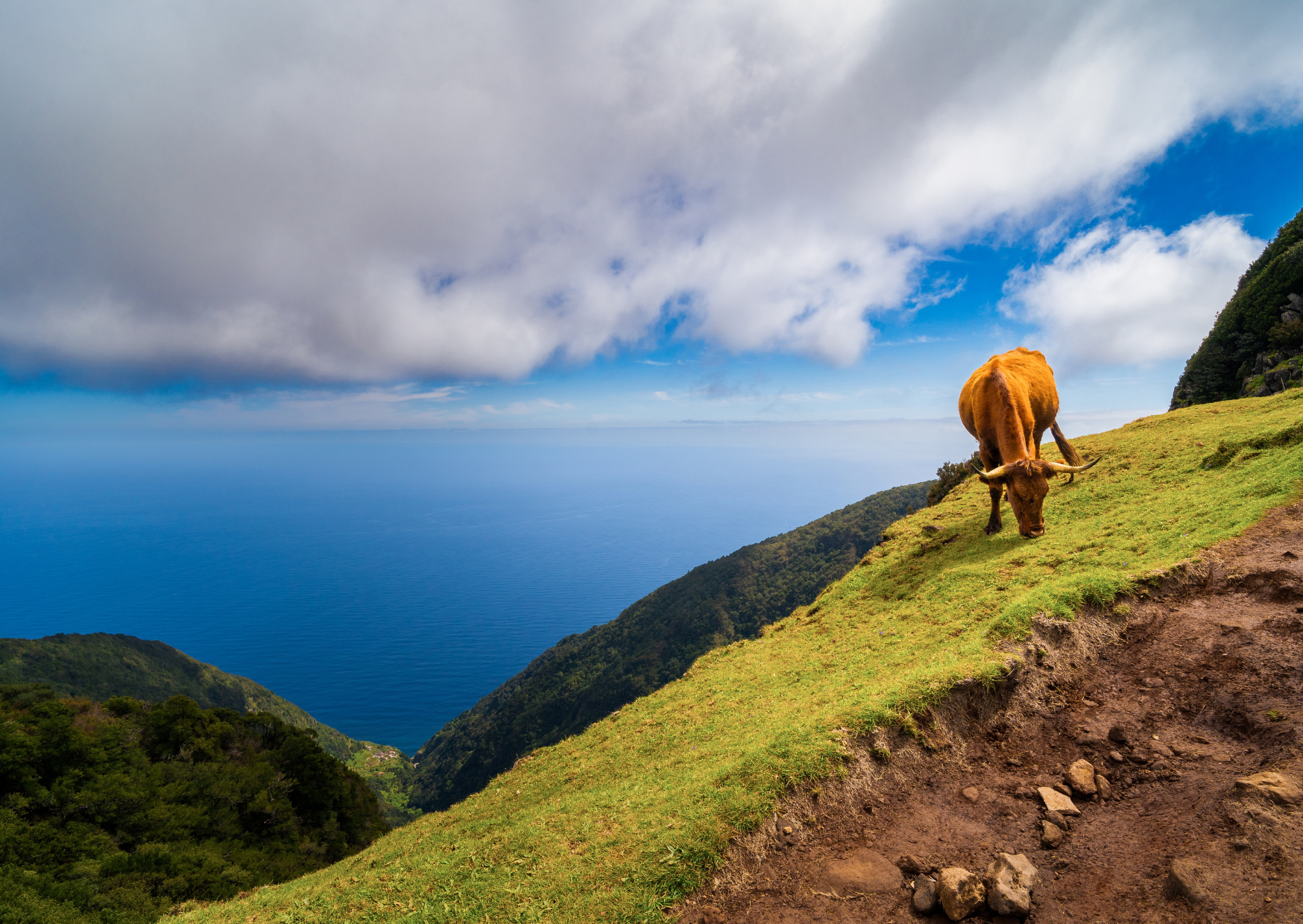 We Retired to Madeira With $185,000 at 59: Balance at 65 6 Madeira 2
