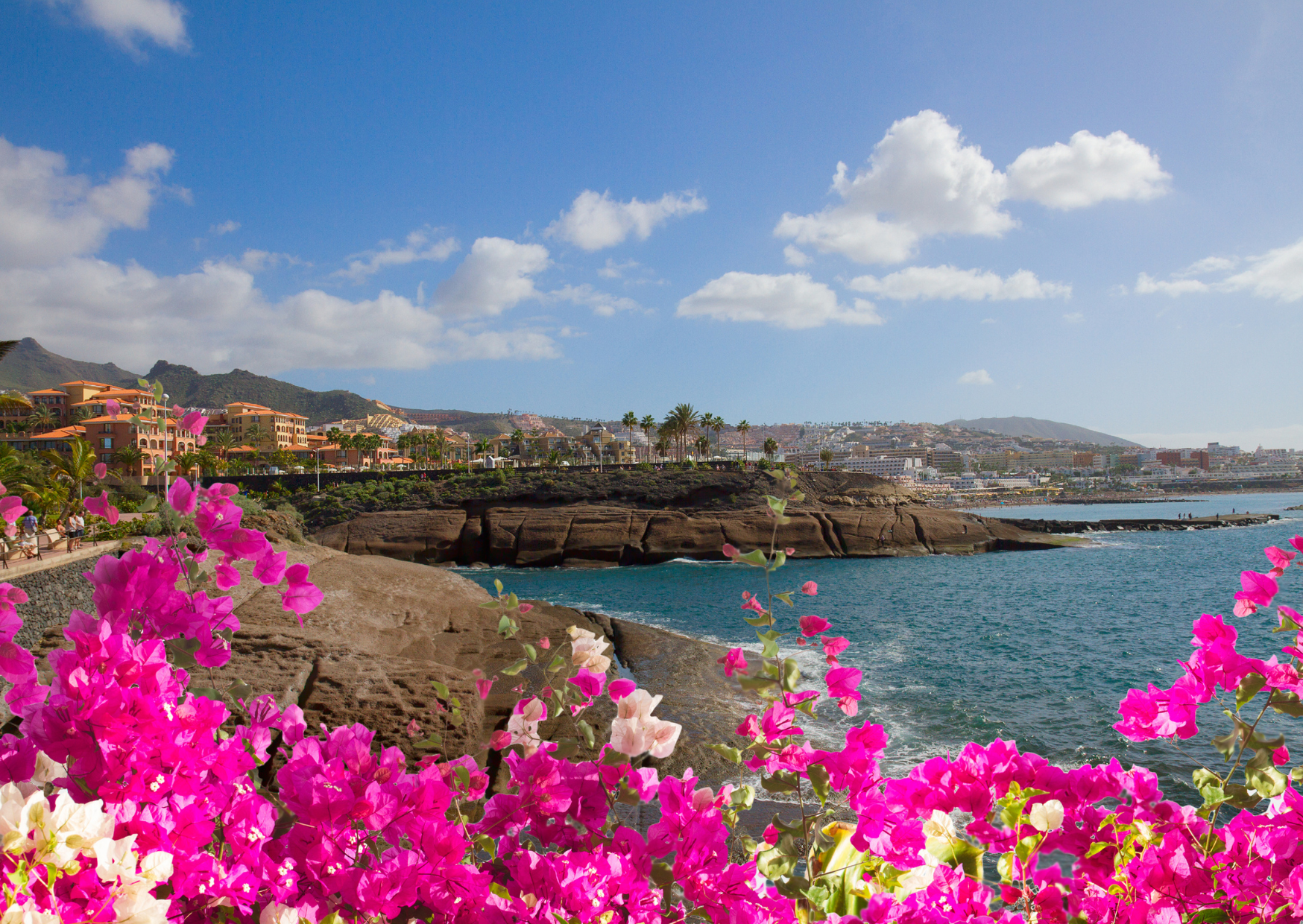 We Chose Tenerife Over Lisbon: 3 Years Later, No Regrets 7 Tenerife 3 1