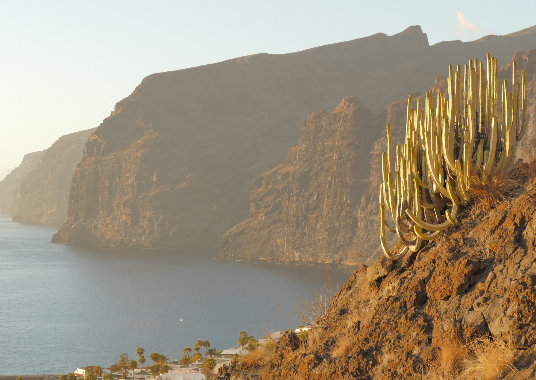 We Chose Tenerife Over Lisbon: 3 Years Later, No Regrets 10 Tenerife 4