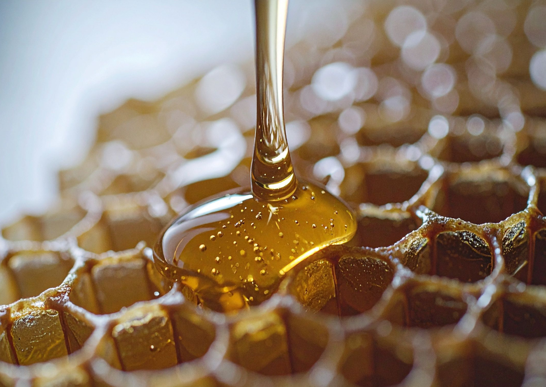 Supermarket Honey In The US Is Mostly Corn Syrup: What European Honey Looks Like And How To Use It 2 honey 4