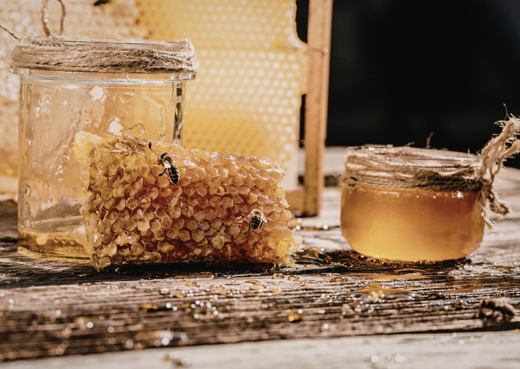 Supermarket Honey In The US Is Mostly Corn Syrup: What European Honey Looks Like And How To Use It 6 honey