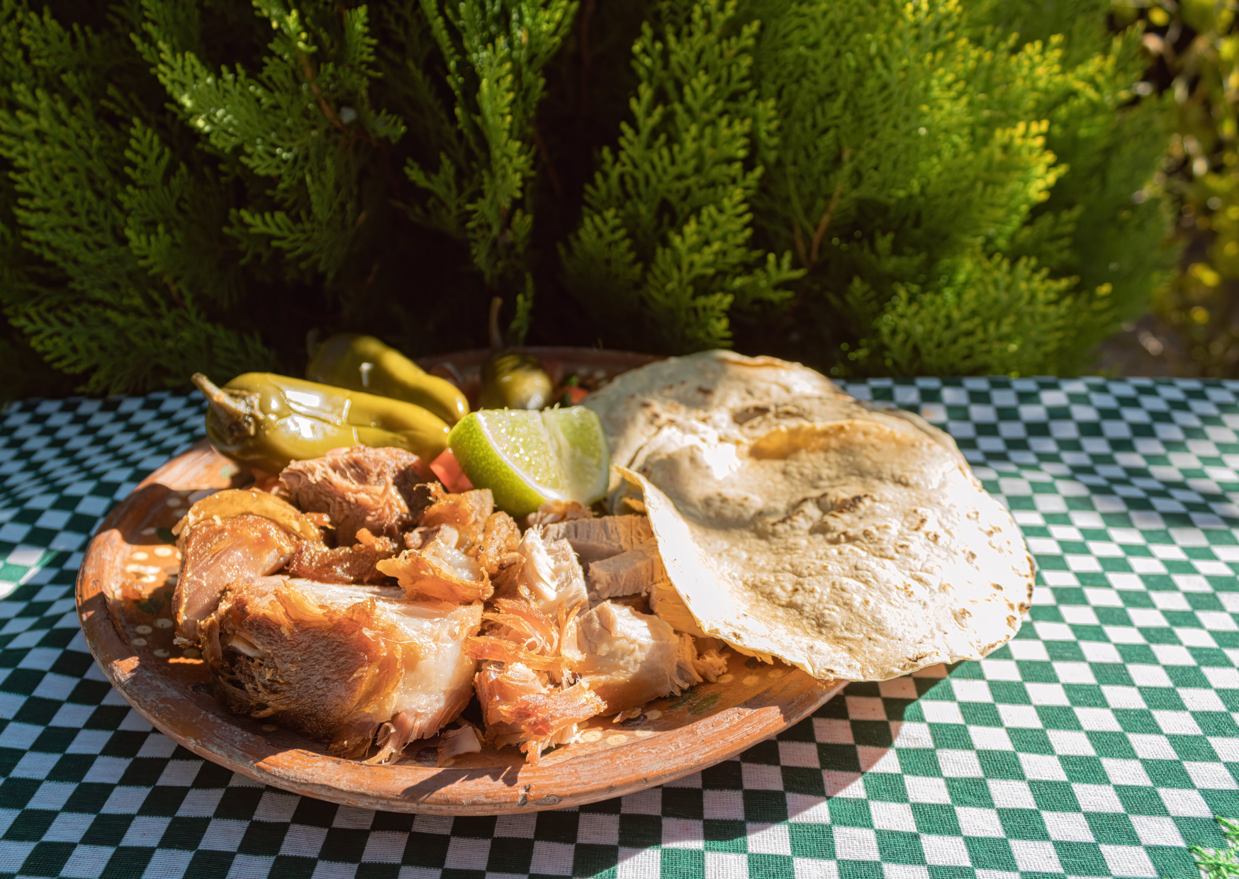 MExican carnitas 3