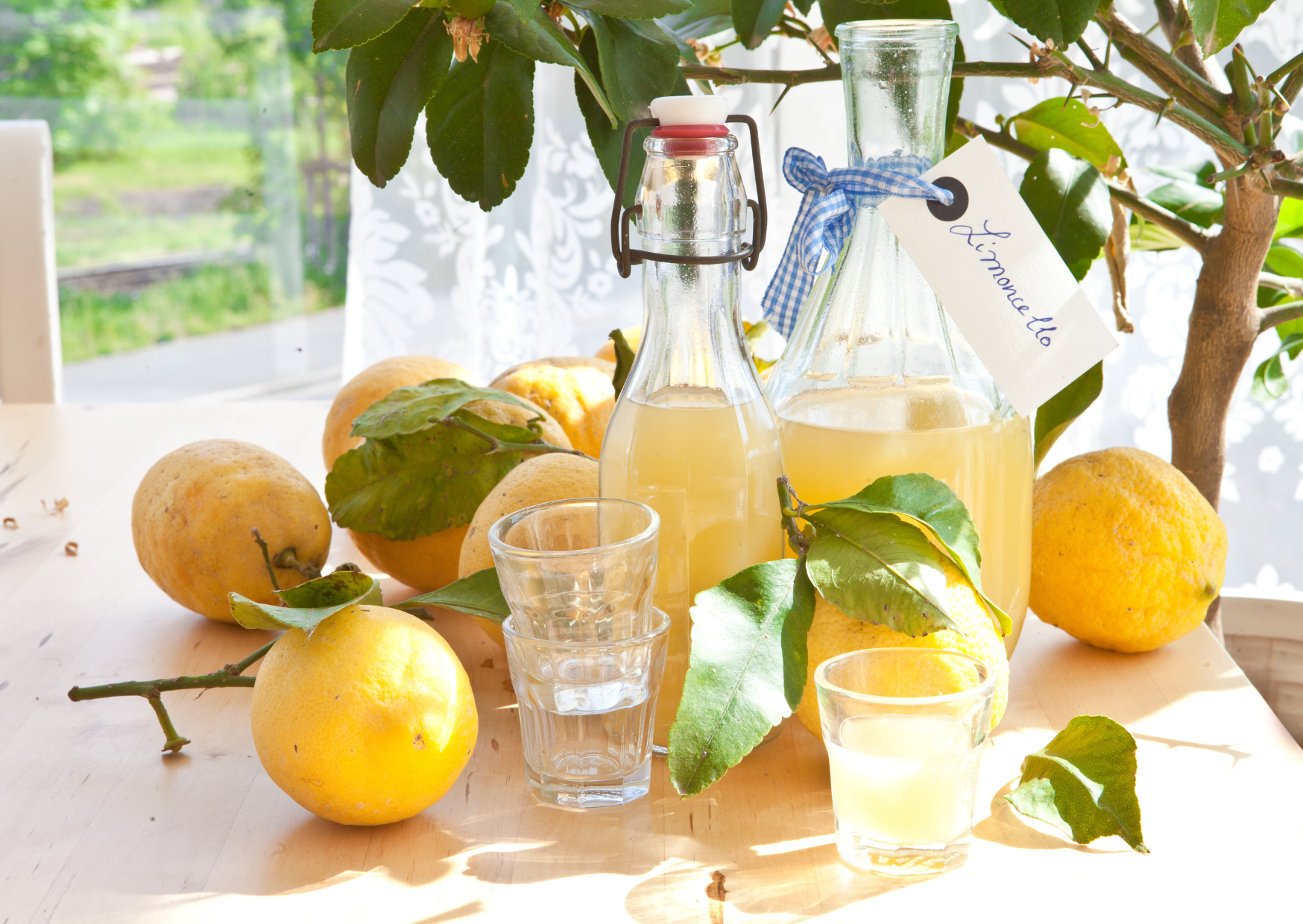 How to Make Limoncello the Amalfi Way: Four Ingredients and Ninety Days of Patience 2 Limoncello