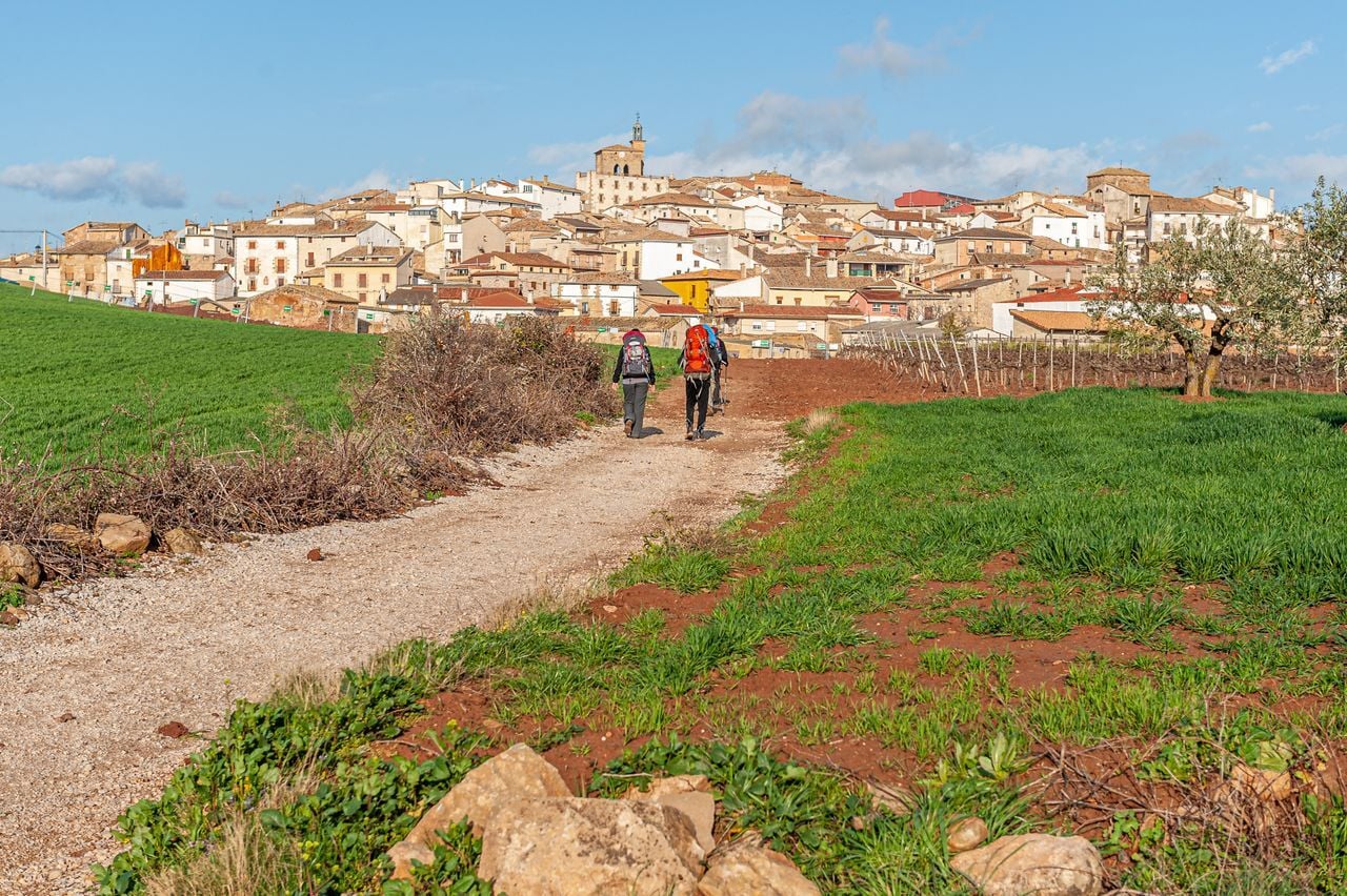 camino de santiago
